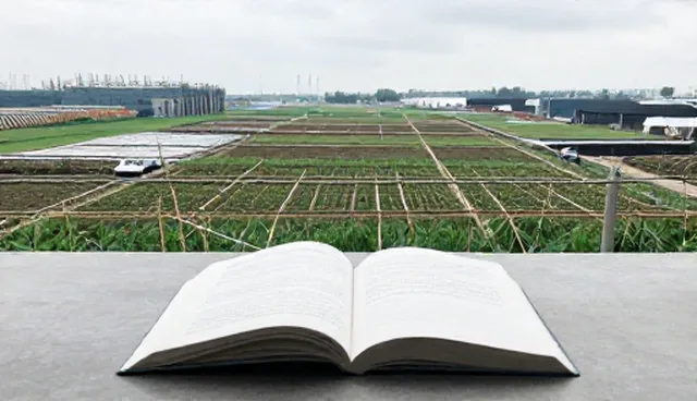 兼营幕墙业务如何实现绿色环保施工